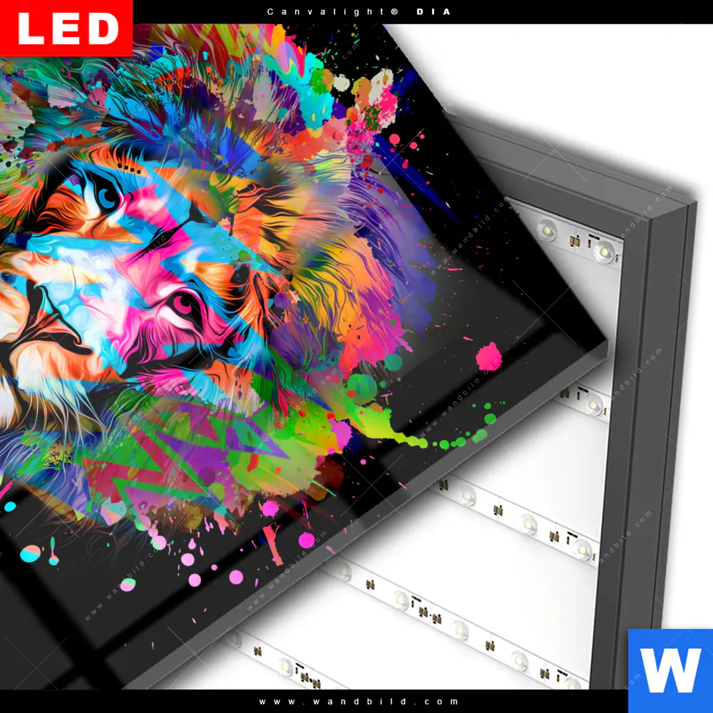 Wechselmotiv Acrylglas Canvalight® DIA | Bunter Löwe Schwarz | Quadrat - Image 3