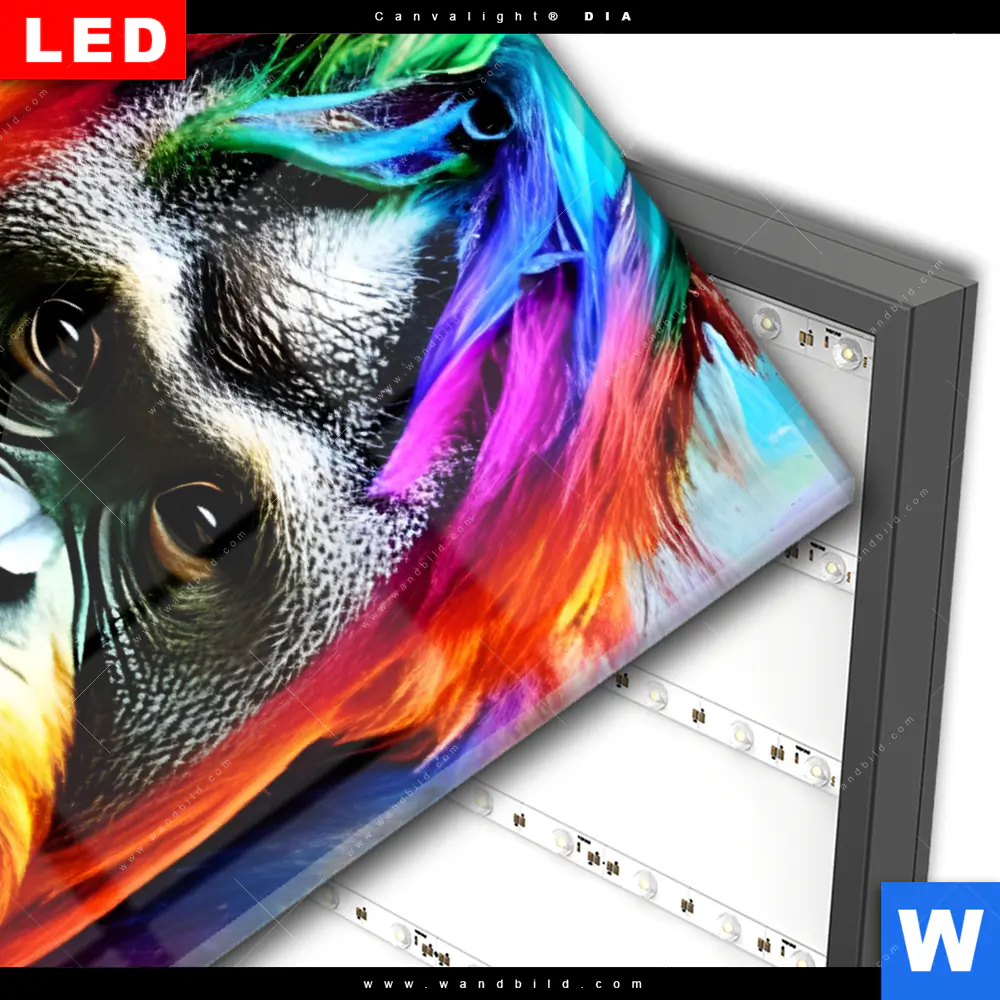 Wechselmotiv Acrylglas Canvalight® DIA | Bunter Orang-Utan | Hochformat - Image 3