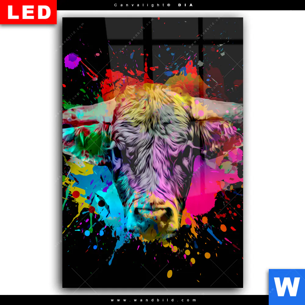 Wechselmotiv Acrylglas Canvalight® DIA | Bunter Stier Schwarz | Hochformat - Image 2