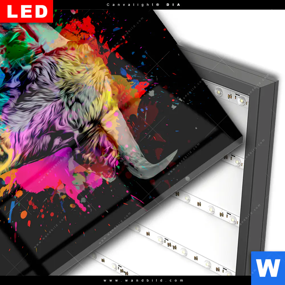 Wechselmotiv Acrylglas Canvalight® DIA | Bunter Stier Schwarz | Quadrat - Image 3