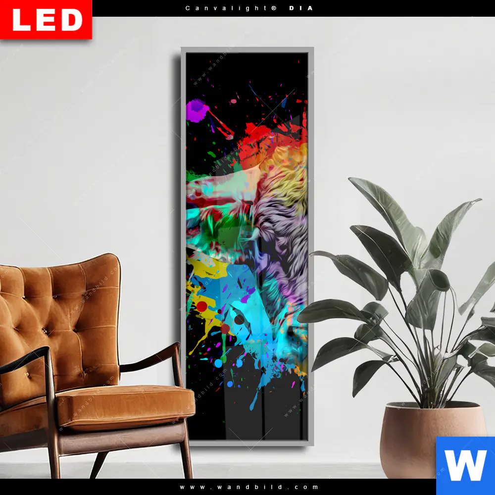 Wechselmotiv Acrylglas Canvalight® DIA | Bunter Stier Schwarz | Schmal