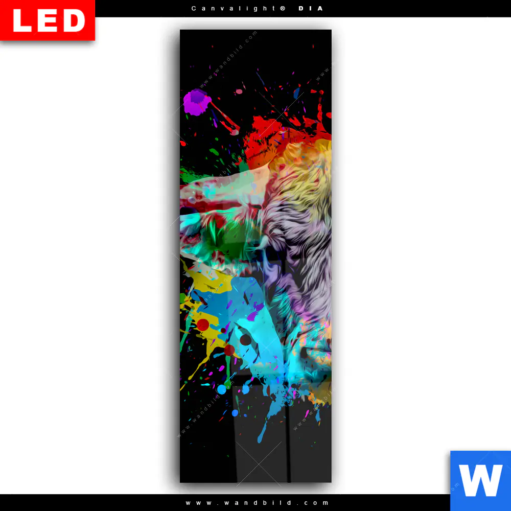 Wechselmotiv Acrylglas Canvalight® DIA | Bunter Stier Schwarz | Schmal - Image 2