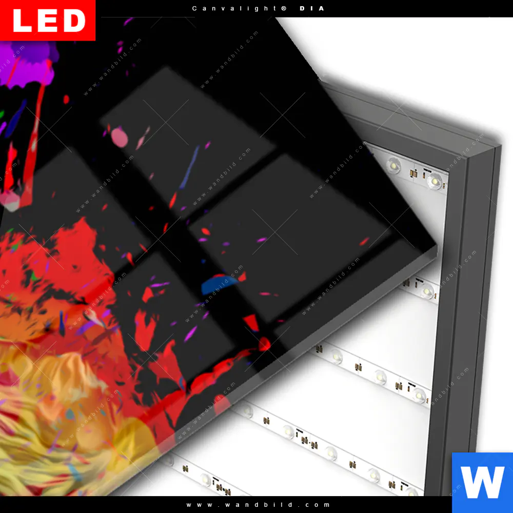 Wechselmotiv Acrylglas Canvalight® DIA | Bunter Stier Schwarz | Schmal - Image 3