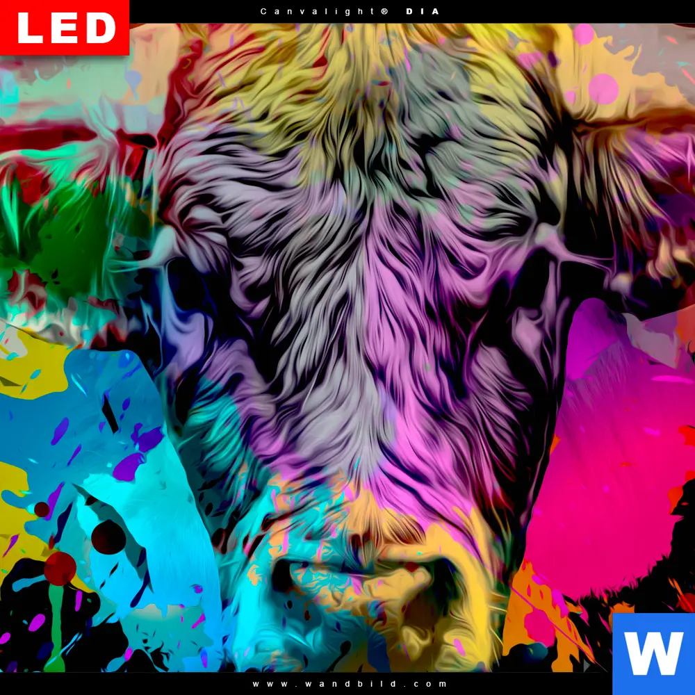Wechselmotiv Acrylglas Canvalight® DIA | Bunter Stier Schwarz | Schmal - Image 4