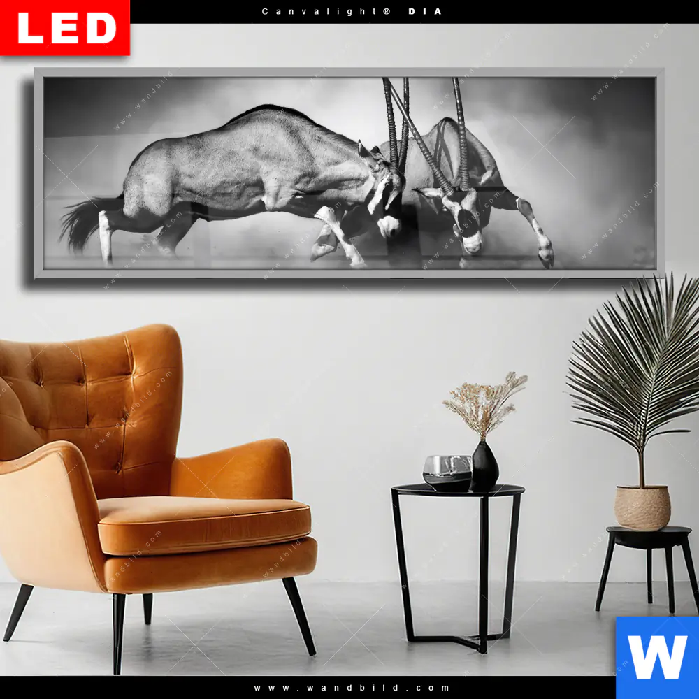 Wechselmotiv Acrylglas Canvalight® DIA | Das Duell | Panorama