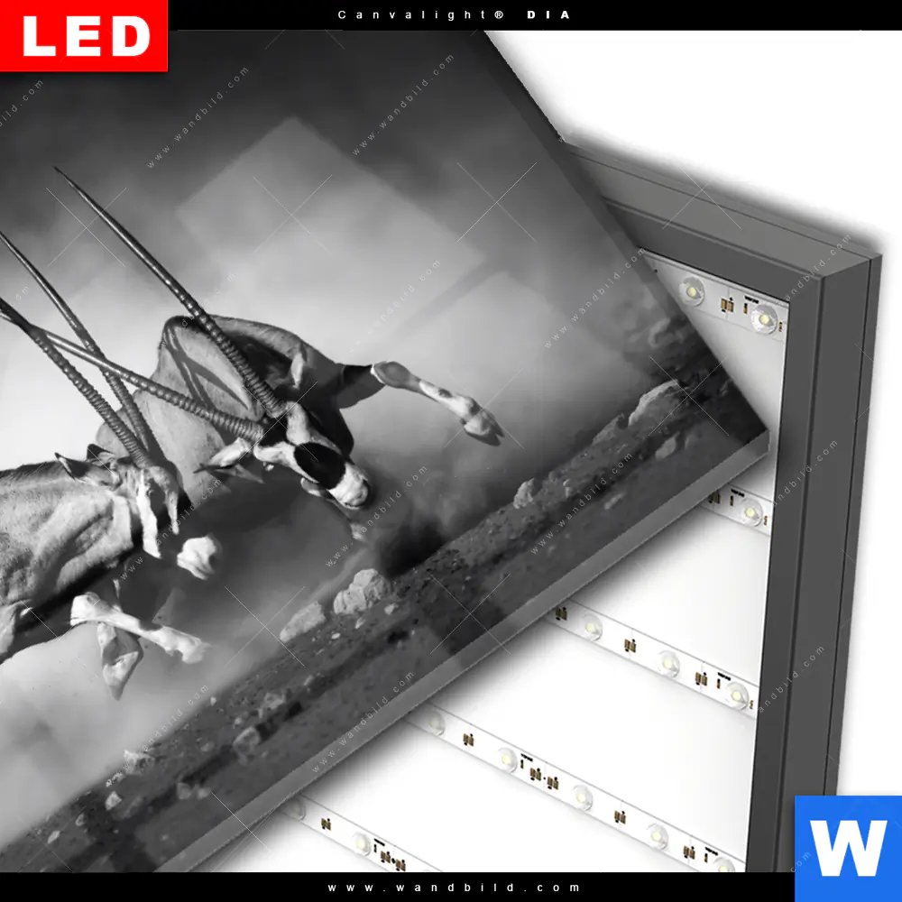 Wechselmotiv Acrylglas Canvalight® DIA | Das Duell | Querformat - Image 3
