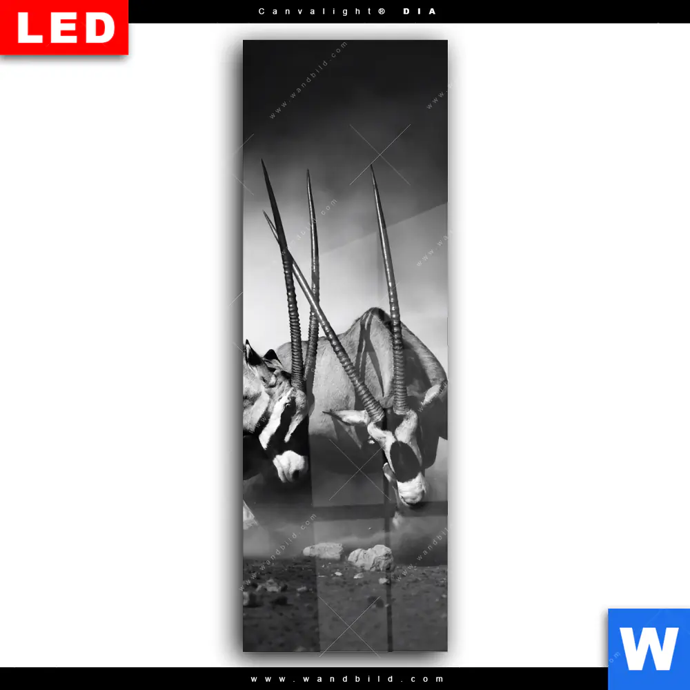 Wechselmotiv Acrylglas Canvalight® DIA | Das Duell | Schmal - Image 2