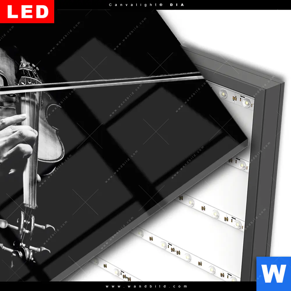 Wechselmotiv Acrylglas Canvalight® DIA | Der Geigenspieler | Quadrat - Image 3