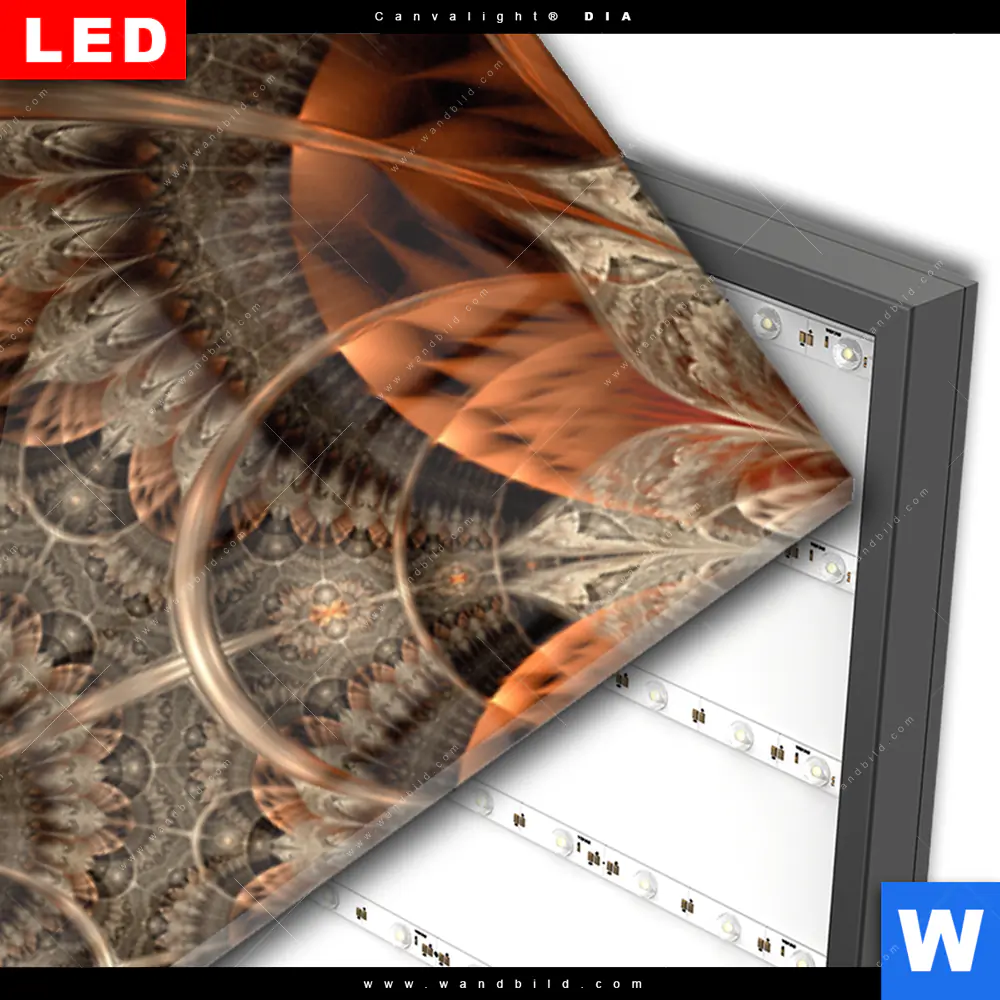 Wechselmotiv Acrylglas Canvalight® DIA | Digitale Blumen No.2 | Panorama - Image 3