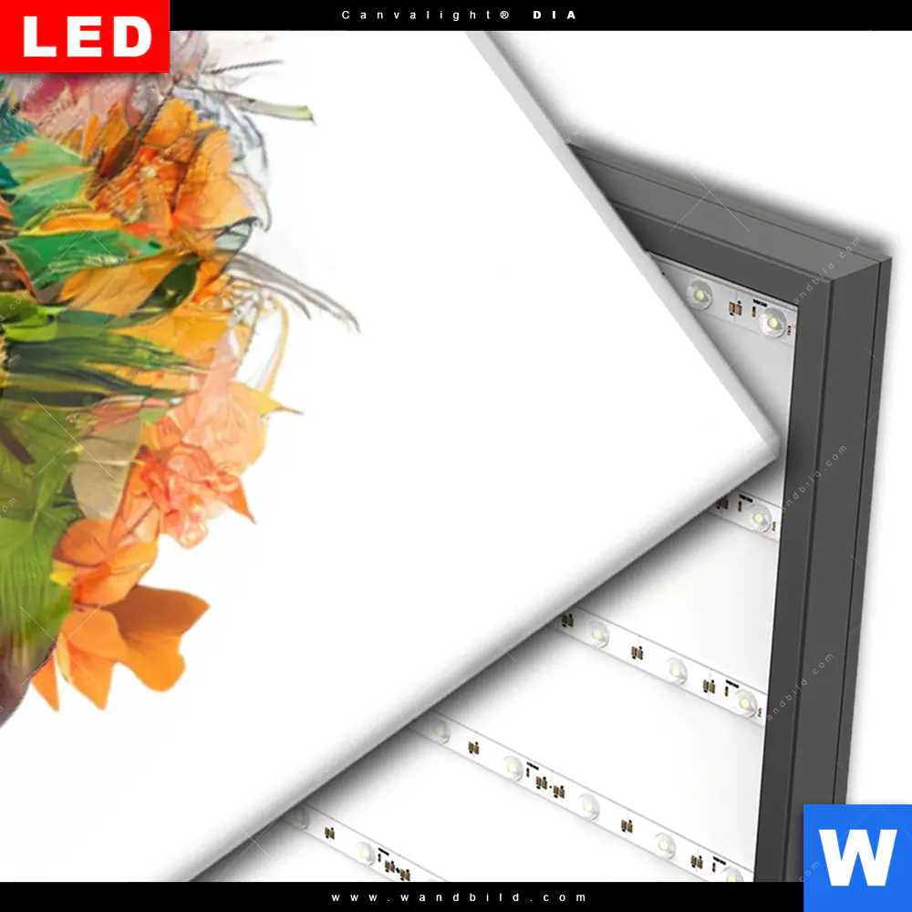 Wechselmotiv Acrylglas Canvalight® DIA | Doppelbelichtung Porträt einer afrikanischen Frau | Schmal - Image 3