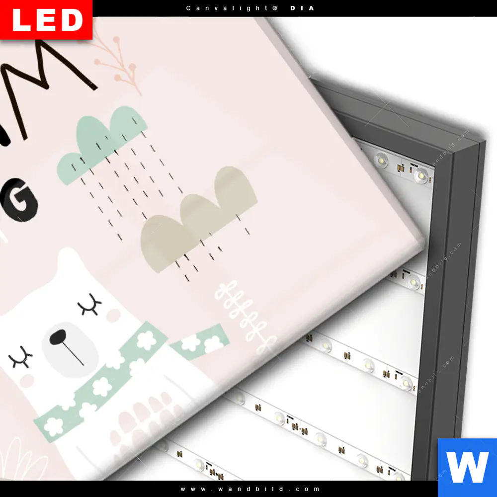 Wechselmotiv Acrylglas Canvalight® DIA | Dream Big Eisbär | Querformat - Image 3