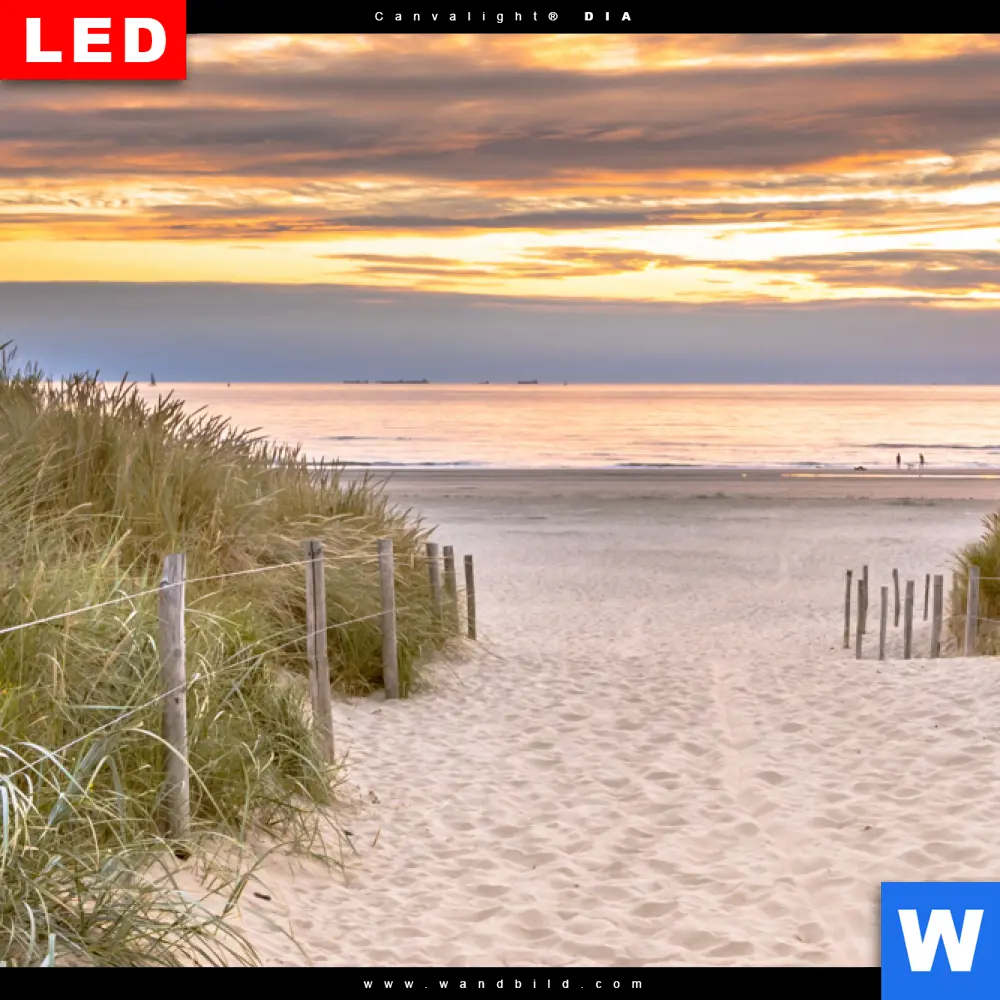 Wechselmotiv Acrylglas Canvalight® DIA | Dünen am Nordseestrand No.2 | Panorama - Image 4