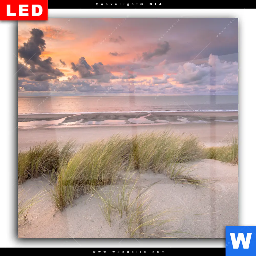 Wechselmotiv Acrylglas Canvalight® DIA | Dünen am Nordseestrand | Quadrat - Image 2
