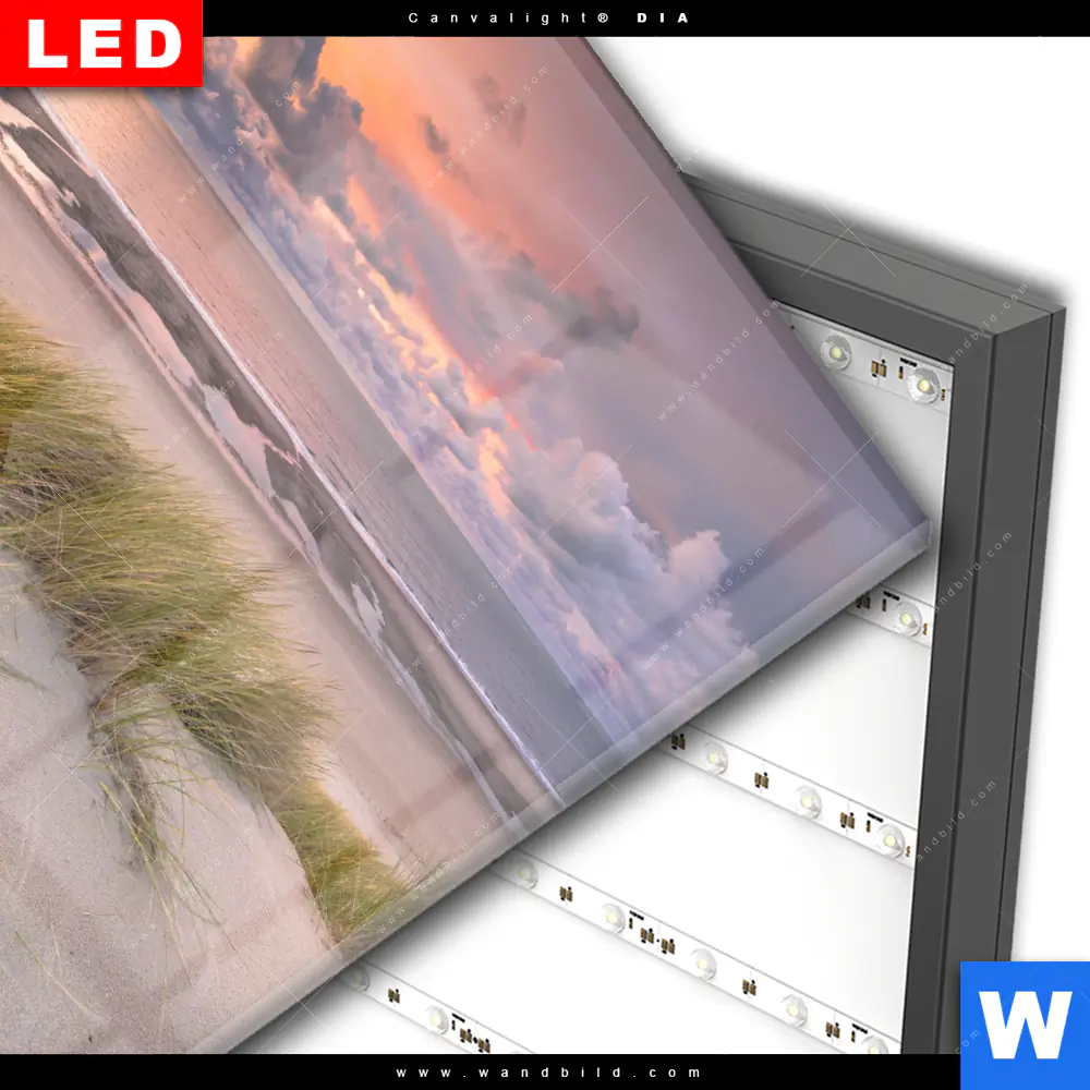 Wechselmotiv Acrylglas Canvalight® DIA | Dünen am Nordseestrand | Quadrat - Image 3