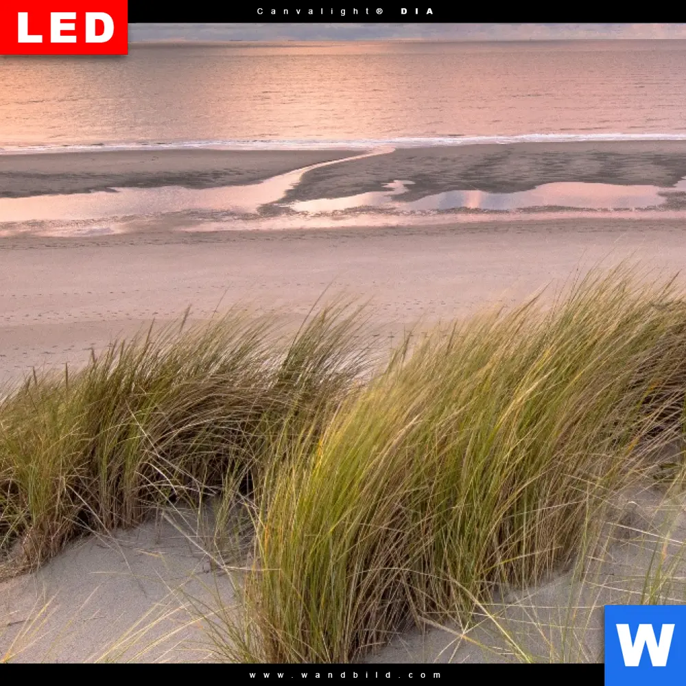 Wechselmotiv Acrylglas Canvalight® DIA | Dünen am Nordseestrand | Quadrat - Image 4