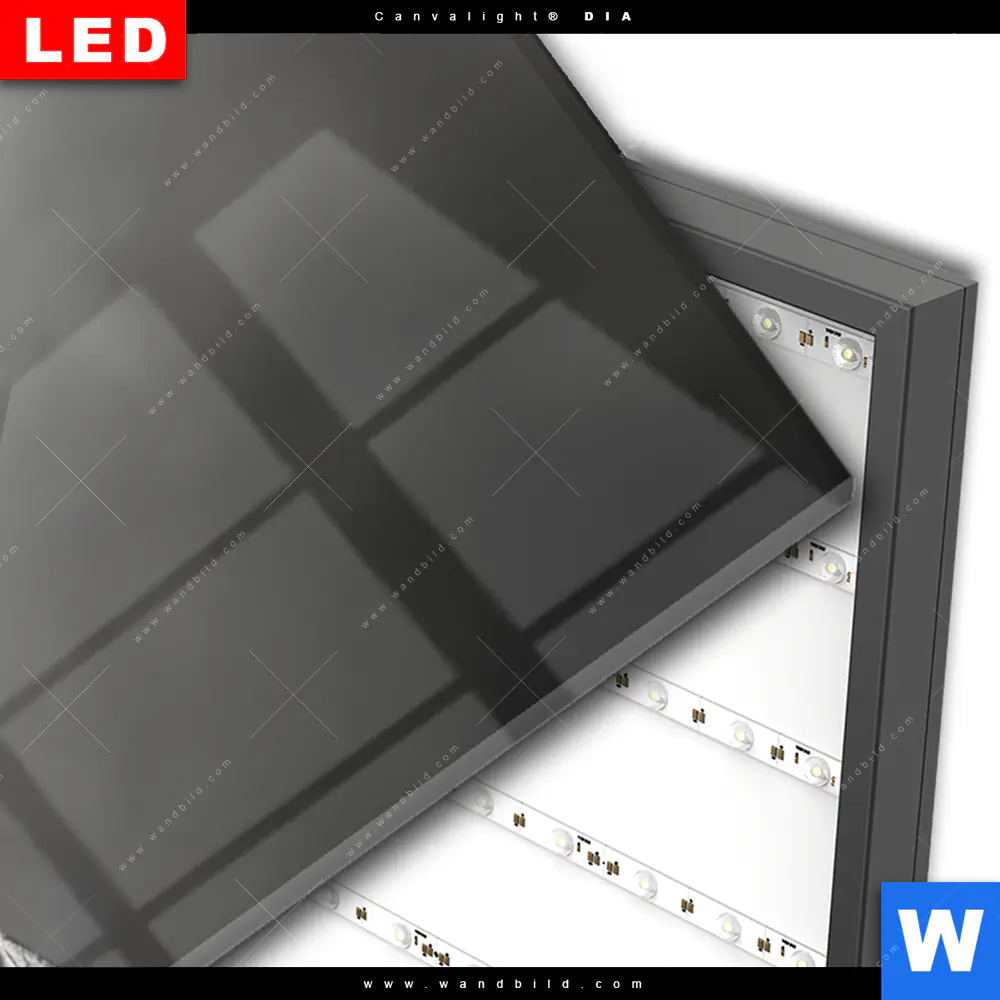 Wechselmotiv Acrylglas Canvalight® DIA | Düstere Eleganz der Eule | Panorama - Image 3