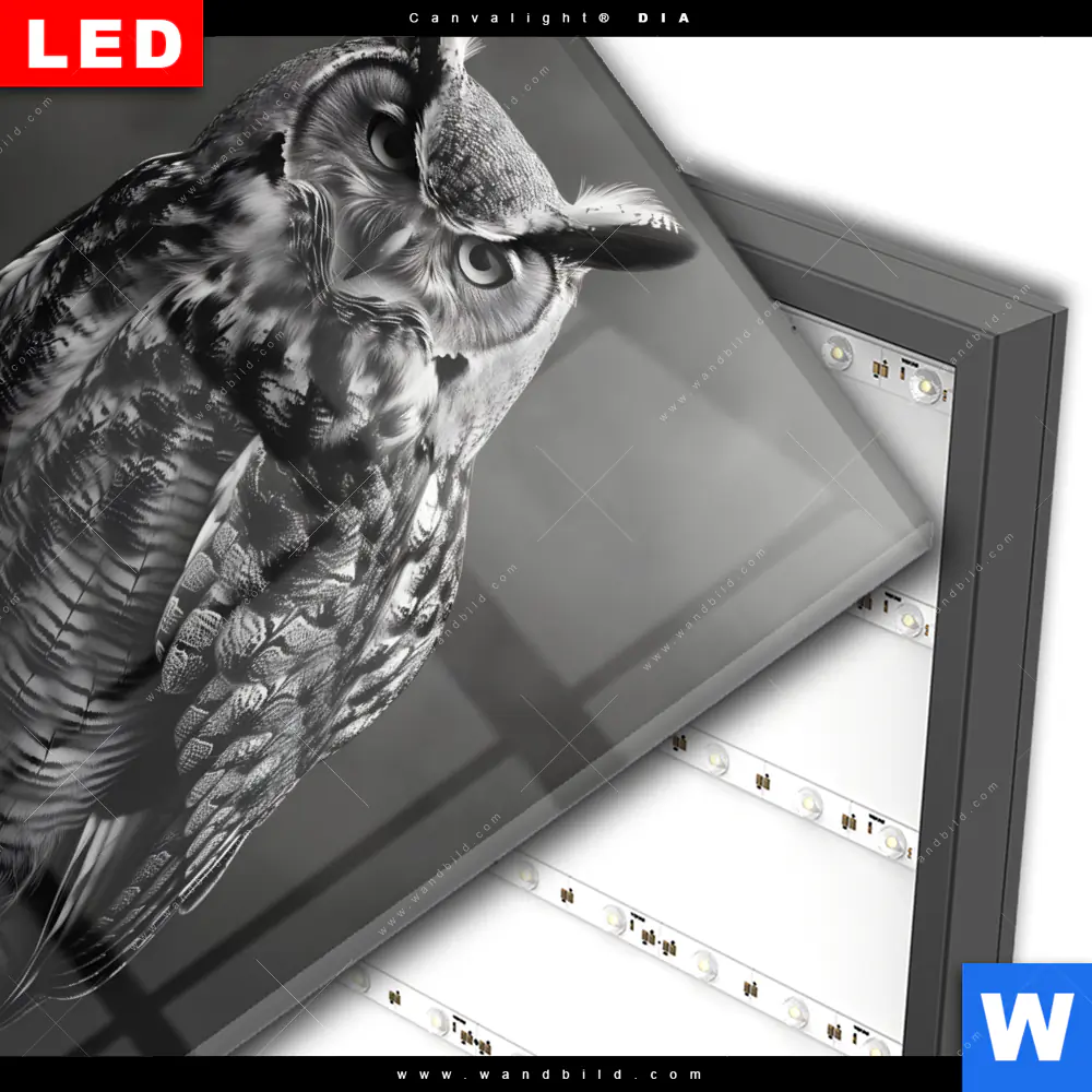 Wechselmotiv Acrylglas Canvalight® DIA | Düstere Eleganz der Eule | Quadrat - Image 3