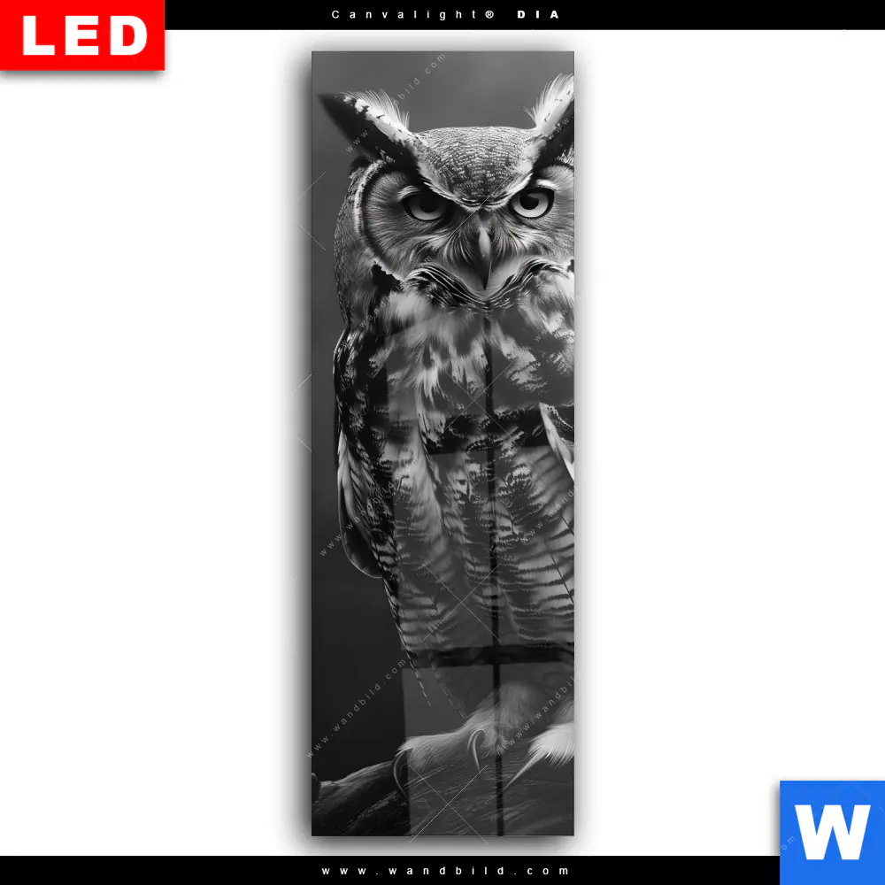 Wechselmotiv Acrylglas Canvalight® DIA | Düstere Eleganz der Eule | Schmal - Image 2
