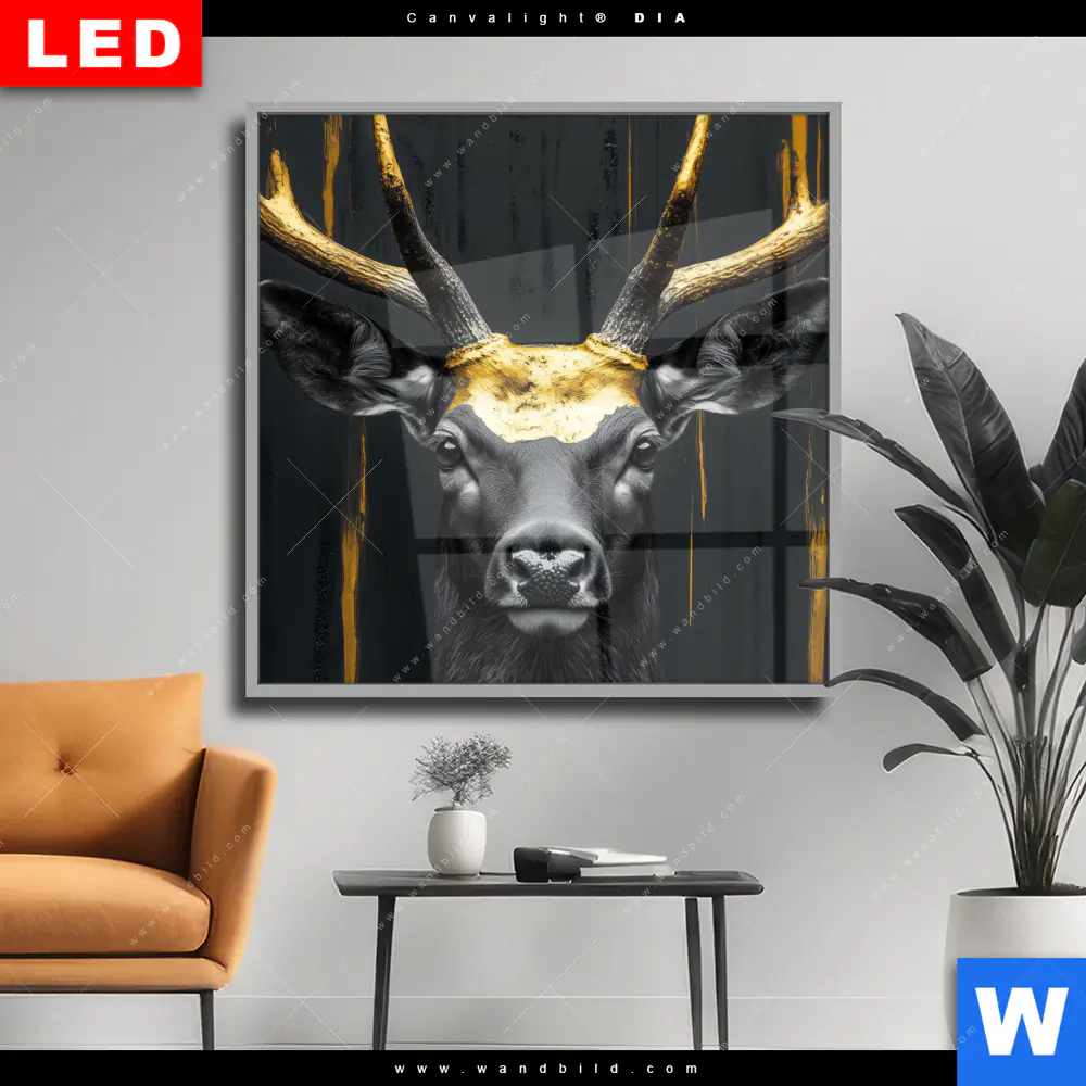 Wechselmotiv Acrylglas Canvalight® DIA | Edler Hirsch in Fokus | Quadrat