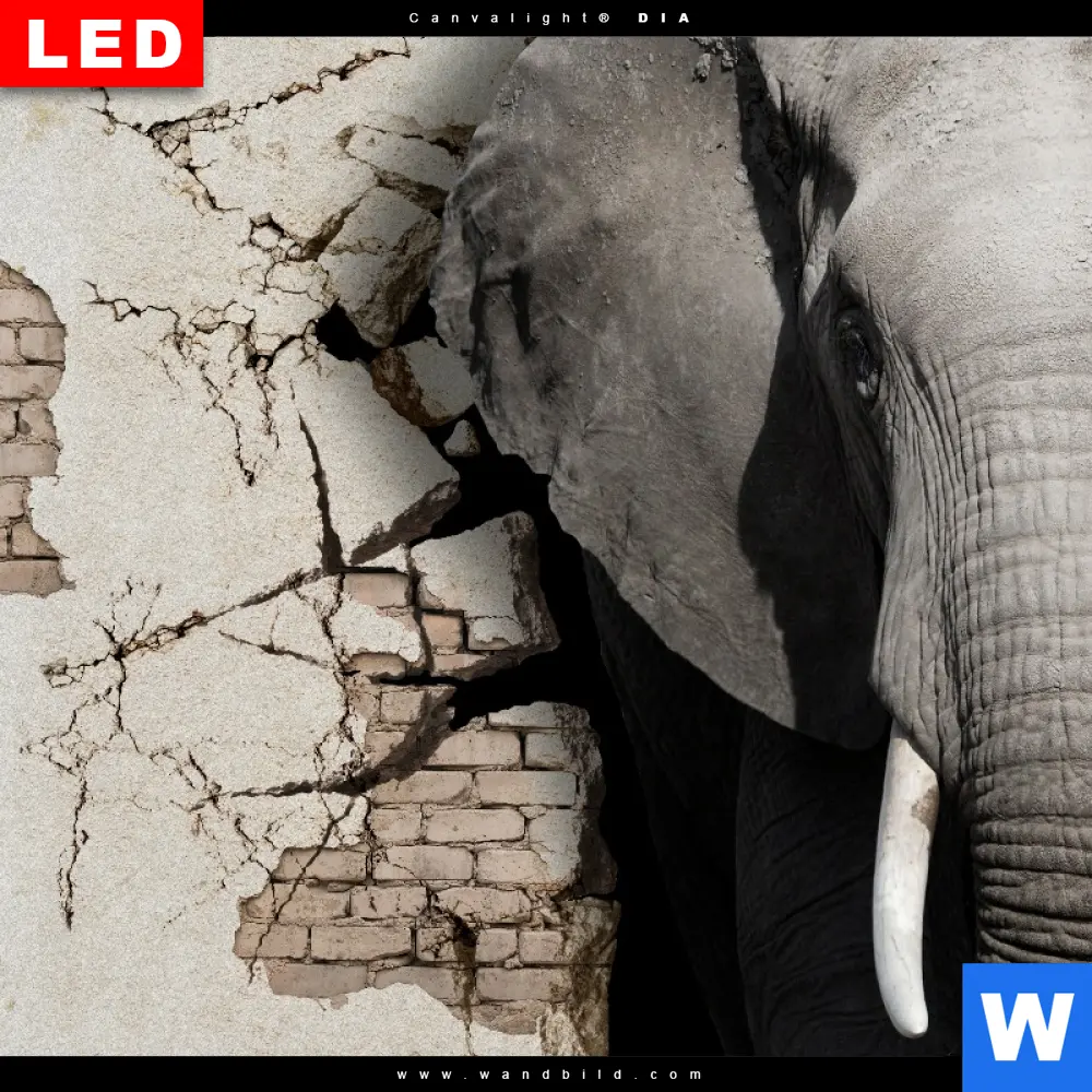 Wechselmotiv Acrylglas Canvalight® DIA | Elefant bricht durch Mauer | Panorama - Image 4