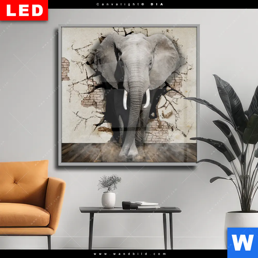 Wechselmotiv Acrylglas Canvalight® DIA | Elefant bricht durch Mauer | Quadrat