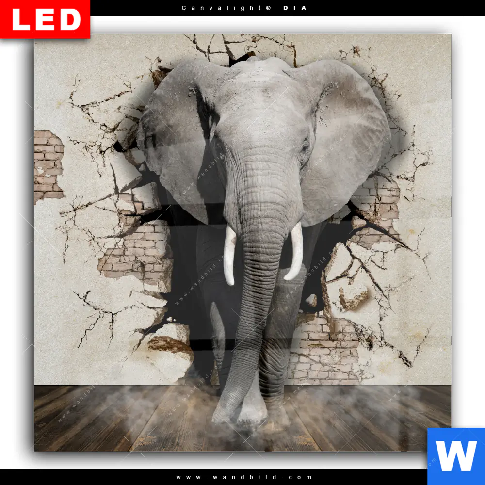 Wechselmotiv Acrylglas Canvalight® DIA | Elefant bricht durch Mauer | Quadrat - Image 2