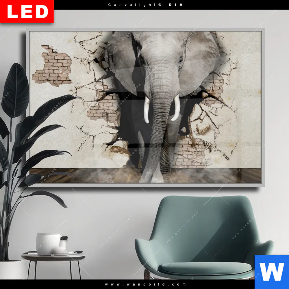 Wechselmotiv Acrylglas Canvalight® DIA | Elefant bricht durch Mauer | Querformat