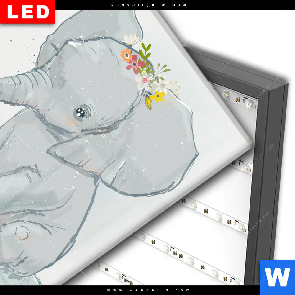 Wechselmotiv Acrylglas Canvalight® DIA | Elefant & Entlein | Quadrat - Image 3