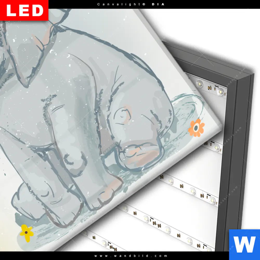 Wechselmotiv Acrylglas Canvalight® DIA | Elefant & Entlein | Querformat - Image 3