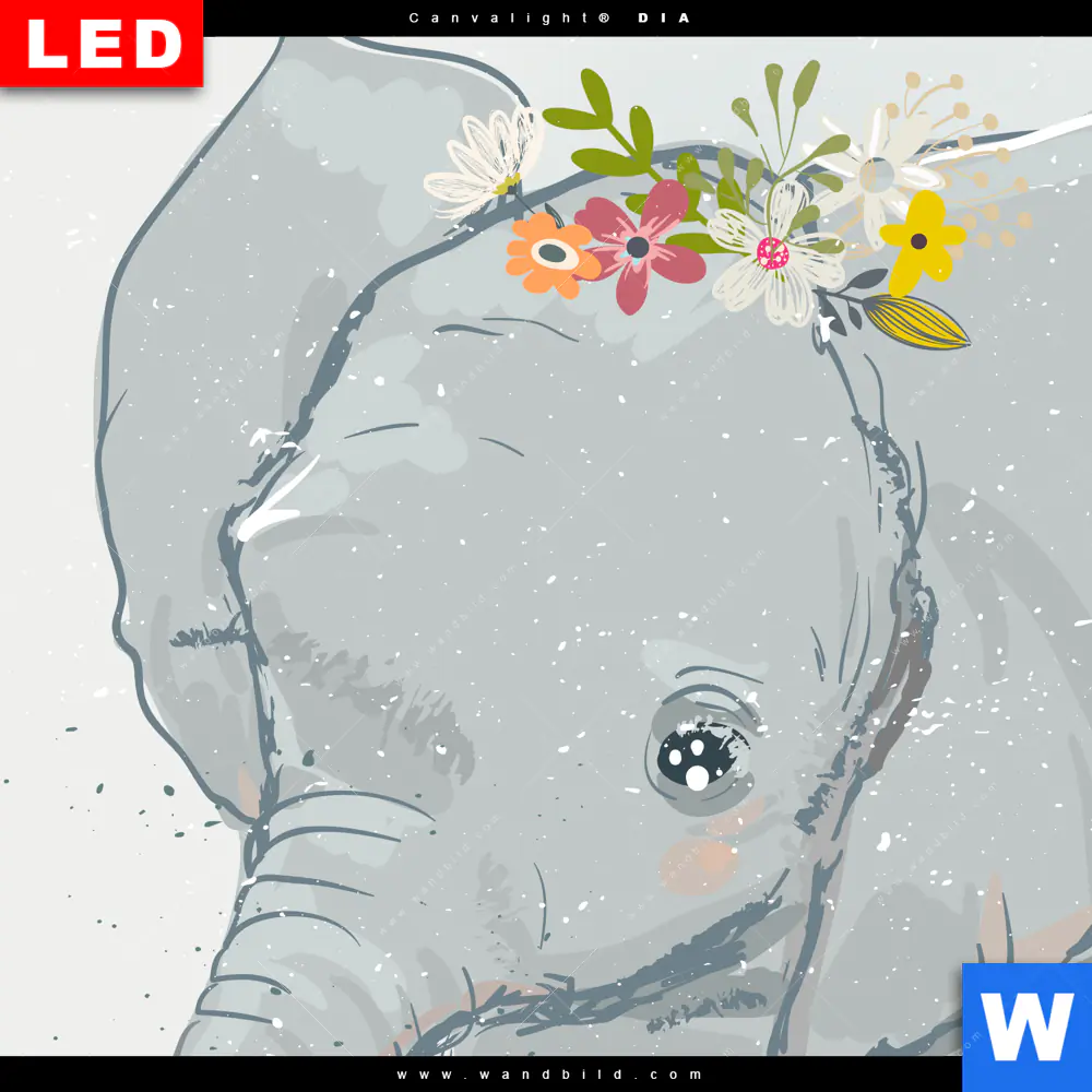Wechselmotiv Acrylglas Canvalight® DIA | Elefant & Entlein | Schmal - Image 4