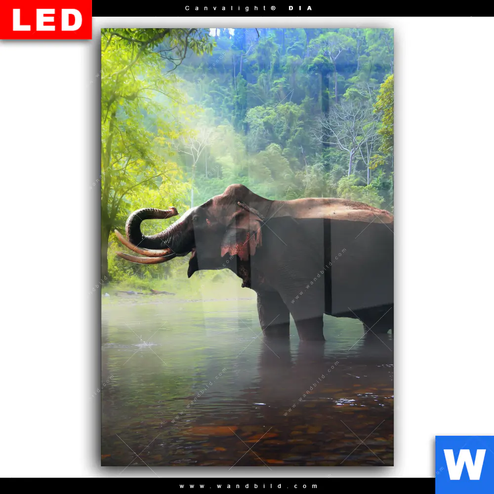 Wechselmotiv Acrylglas Canvalight® DIA | Elefant im Wasser | Hochformat - Image 2