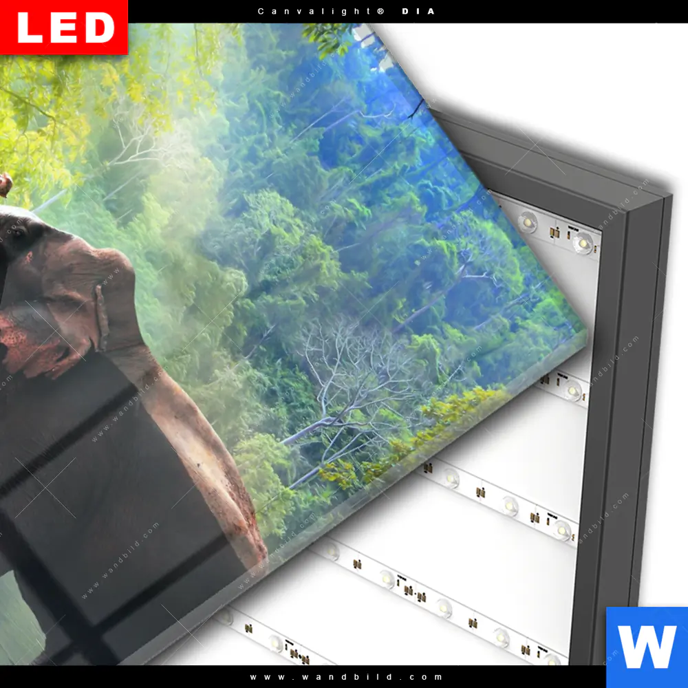 Wechselmotiv Acrylglas Canvalight® DIA | Elefant im Wasser | Hochformat - Image 3
