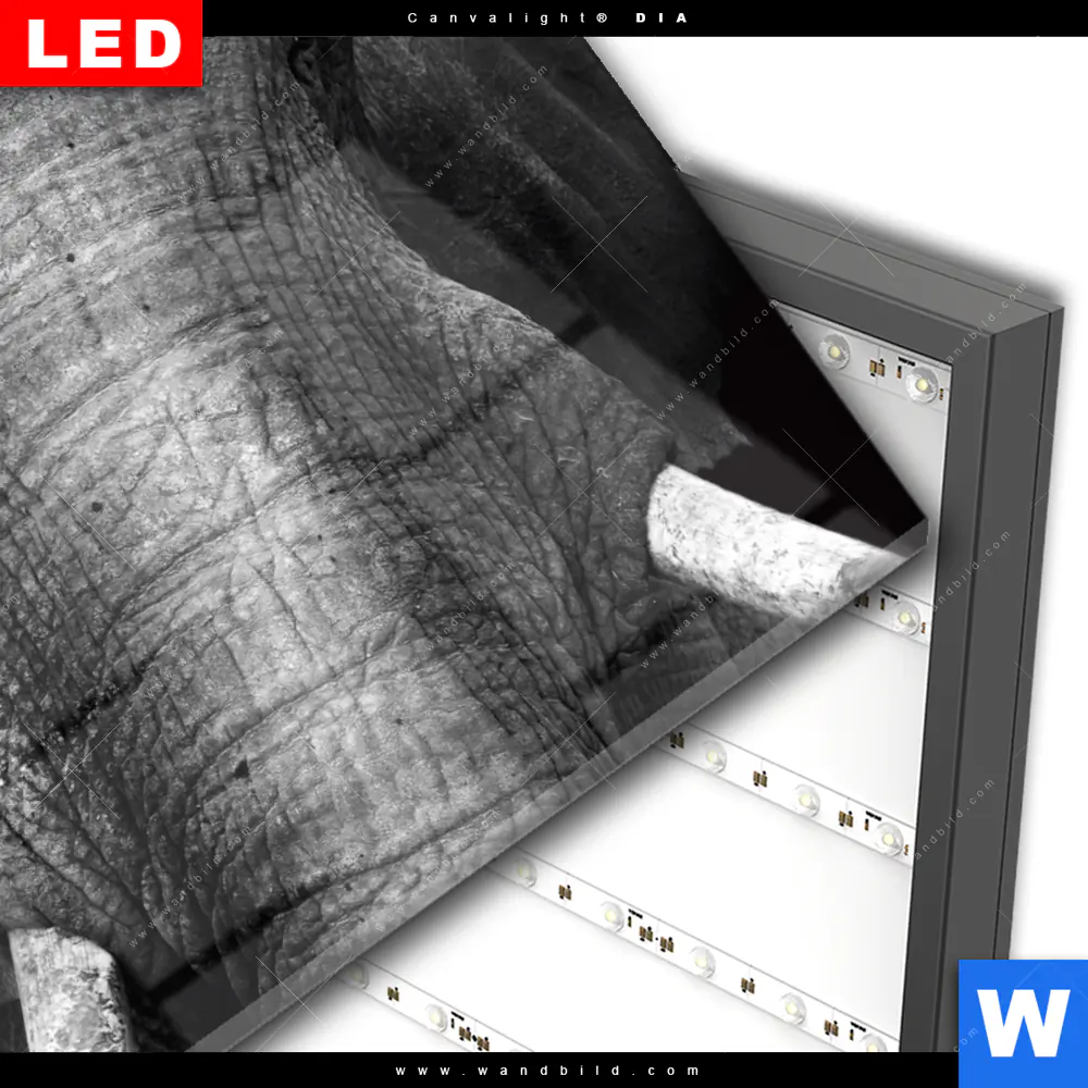 Wechselmotiv Acrylglas Canvalight® DIA | Elefant Schwarzweiß | Querformat - Image 3