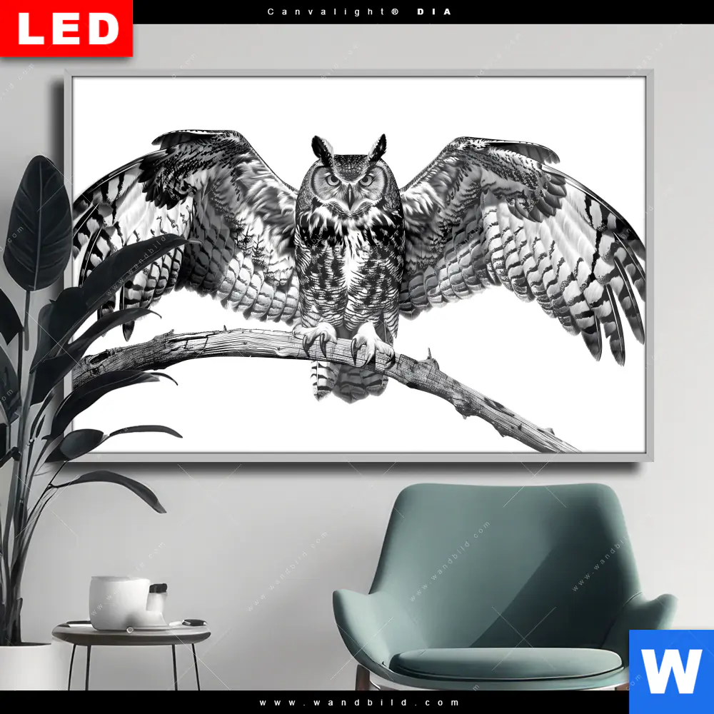 Wechselmotiv Acrylglas Canvalight® DIA | Eule auf Ast | Querformat