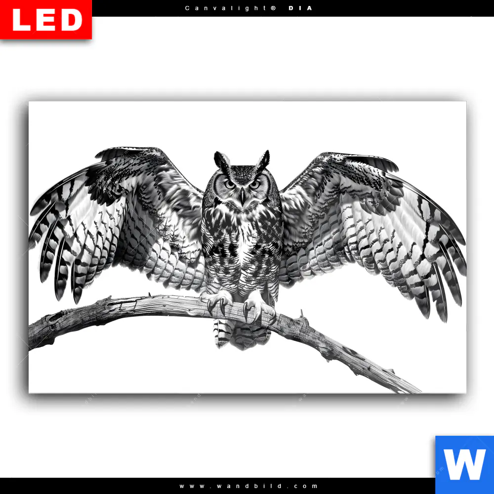 Wechselmotiv Acrylglas Canvalight® DIA | Eule auf Ast | Querformat - Image 2