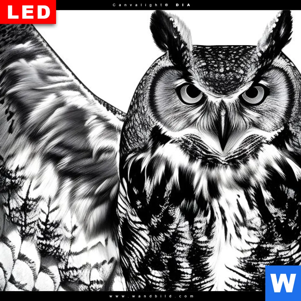 Wechselmotiv Acrylglas Canvalight® DIA | Eule auf Ast | Querformat - Image 4