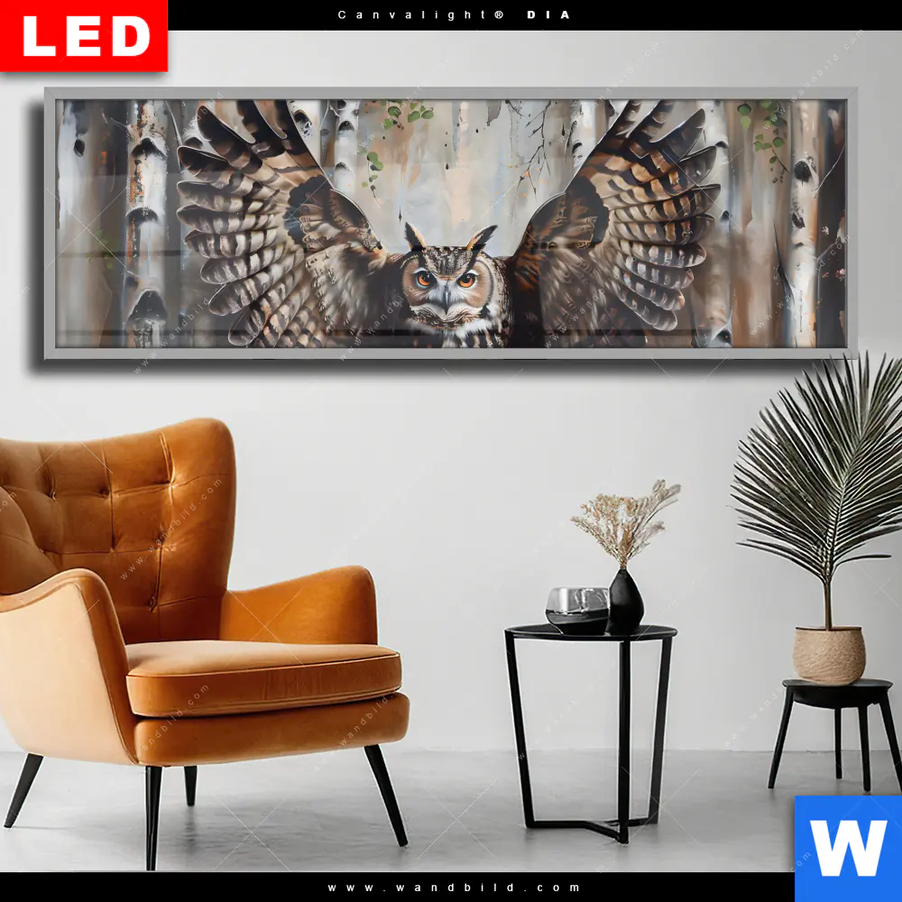 Wechselmotiv Acrylglas Canvalight® DIA | Eule im Birkenwald | Panorama