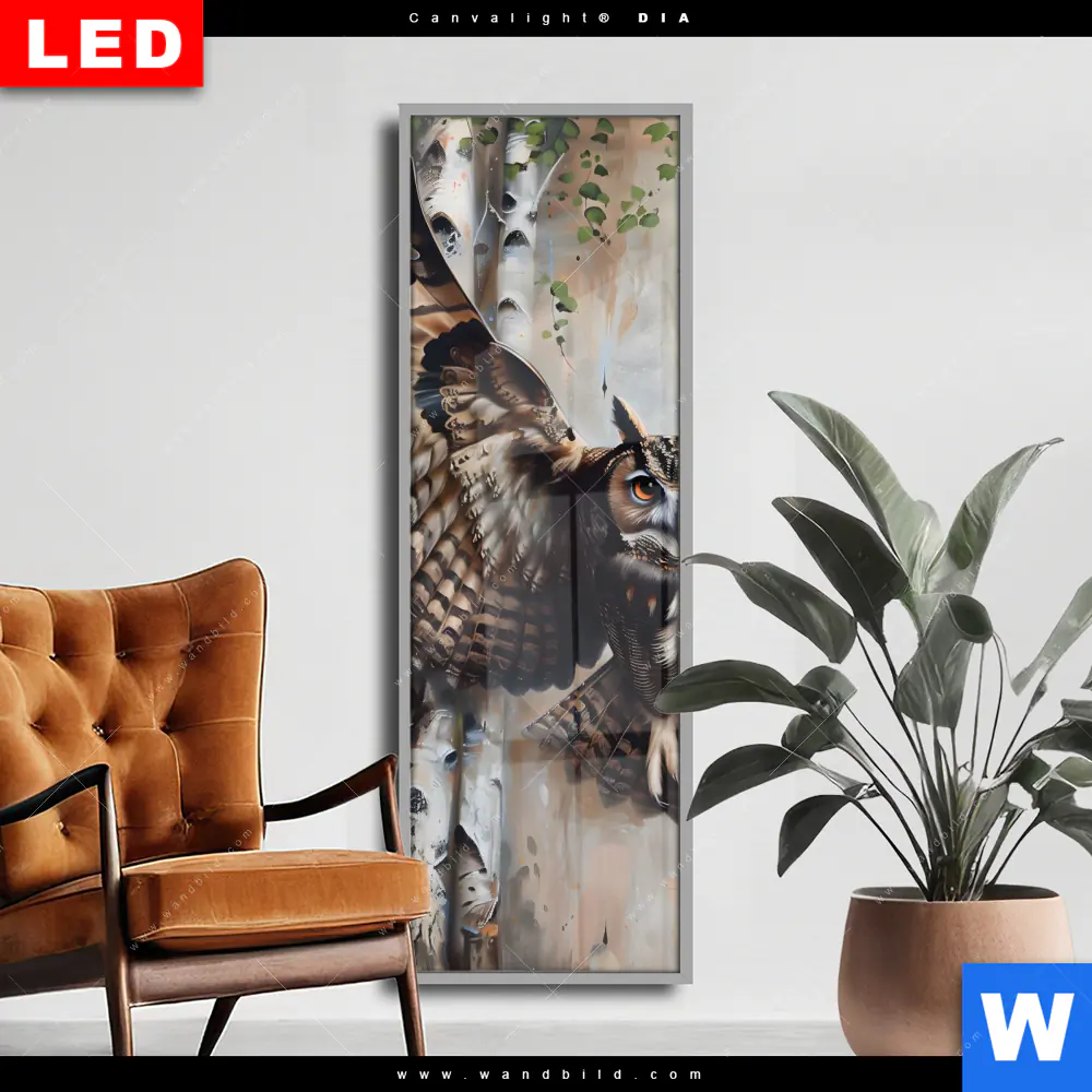 Wechselmotiv Acrylglas Canvalight® DIA | Eule im Birkenwald | Schmal