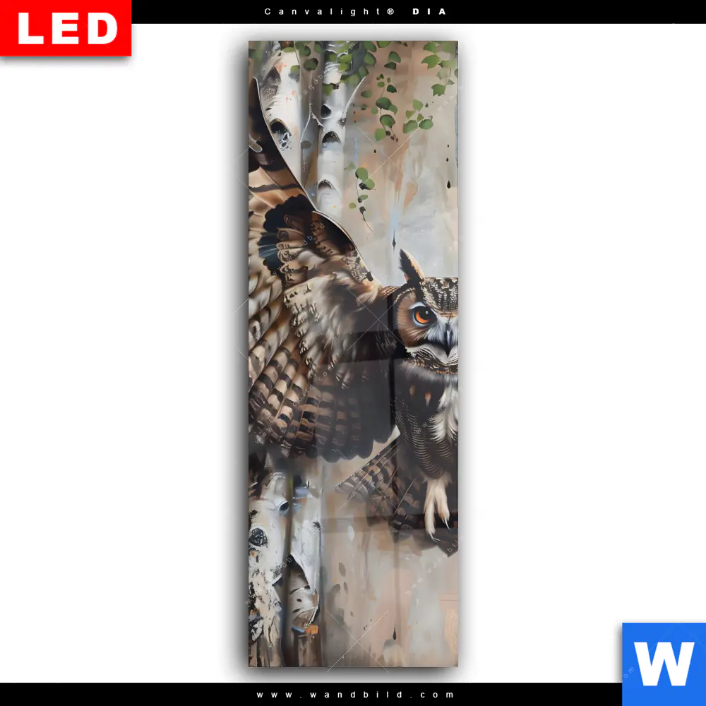 Wechselmotiv Acrylglas Canvalight® DIA | Eule im Birkenwald | Schmal - Image 2