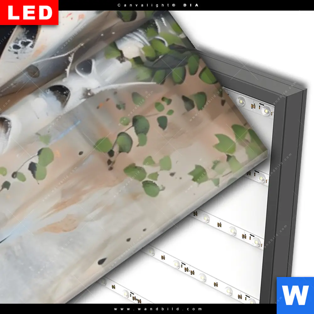 Wechselmotiv Acrylglas Canvalight® DIA | Eule im Birkenwald | Schmal - Image 3