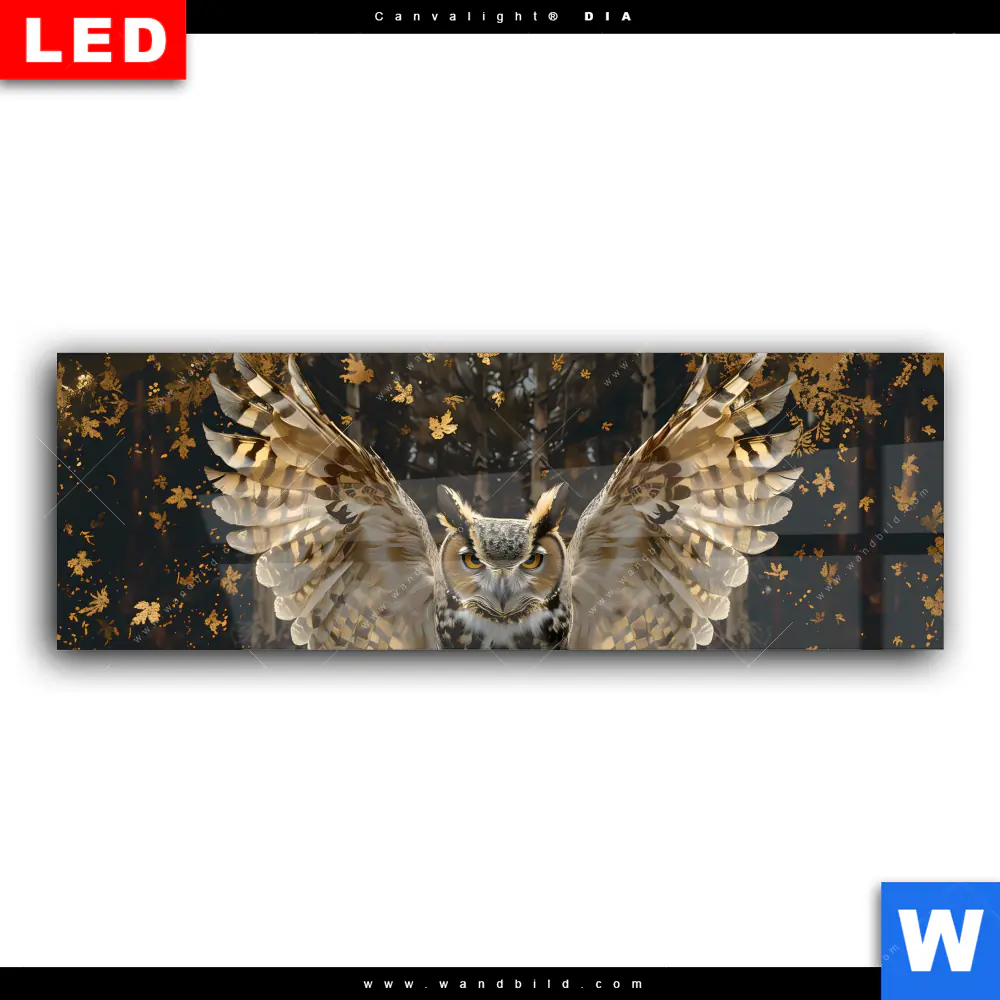 Wechselmotiv Acrylglas Canvalight® DIA | Eule inmitten goldener Blätter | Panorama - Image 2