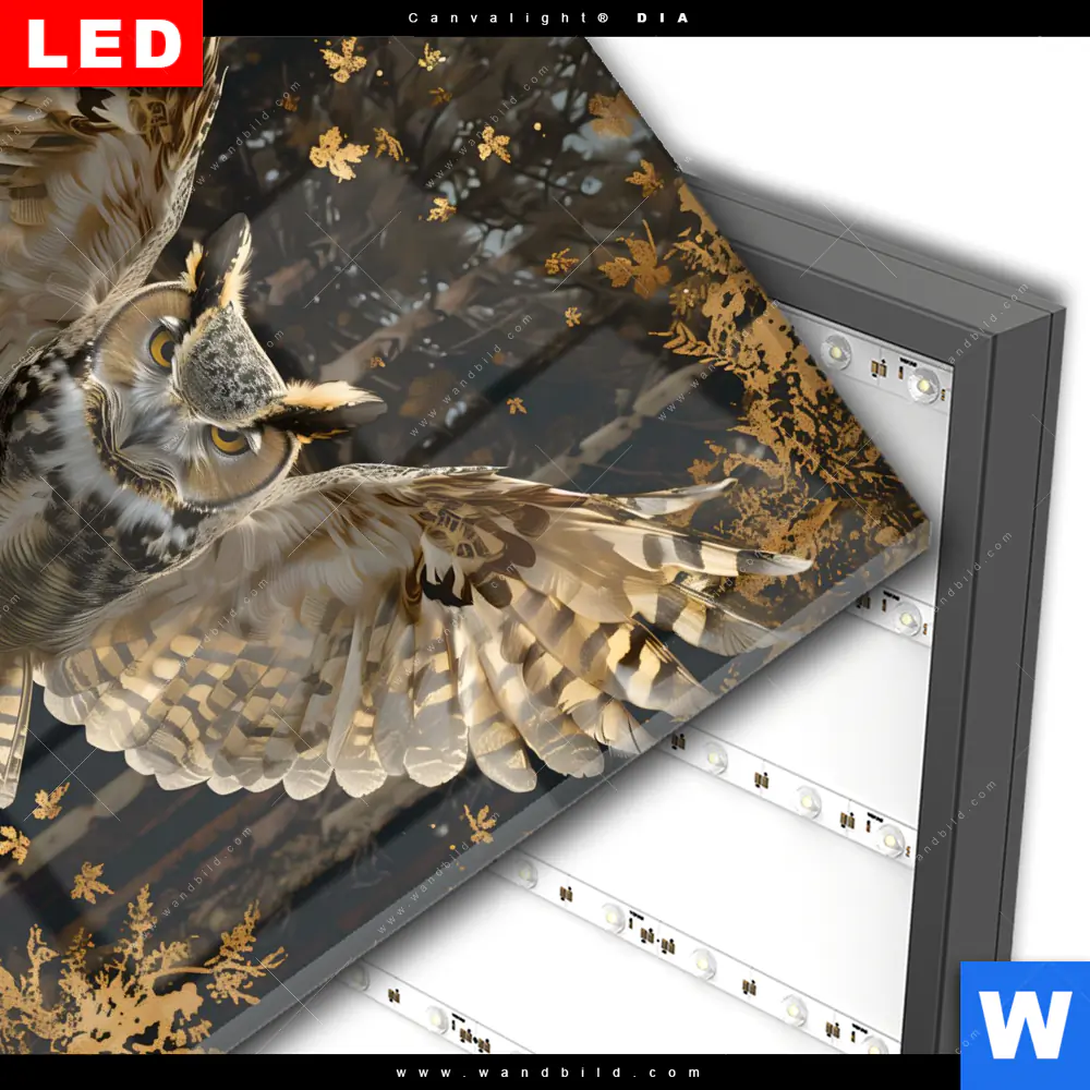 Wechselmotiv Acrylglas Canvalight® DIA | Eule inmitten goldener Blätter | Quadrat - Image 3
