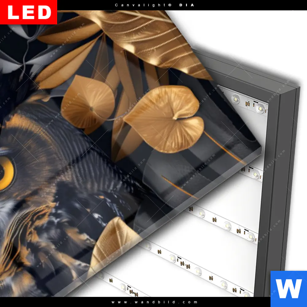 Wechselmotiv Acrylglas Canvalight® DIA | Eule und goldene Blätter | Panorama - Image 3