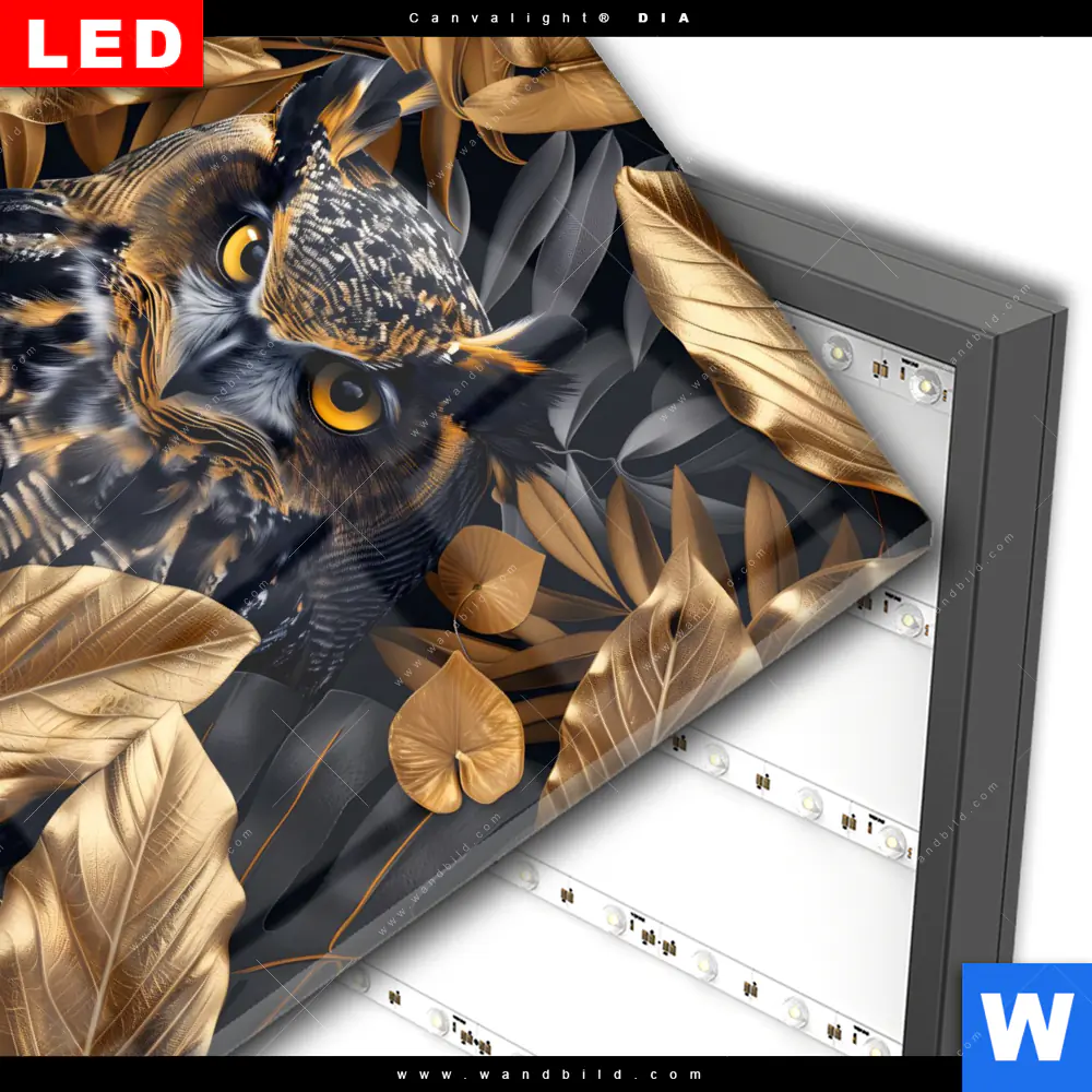 Wechselmotiv Acrylglas Canvalight® DIA | Eule und goldene Blätter | Quadrat - Image 3