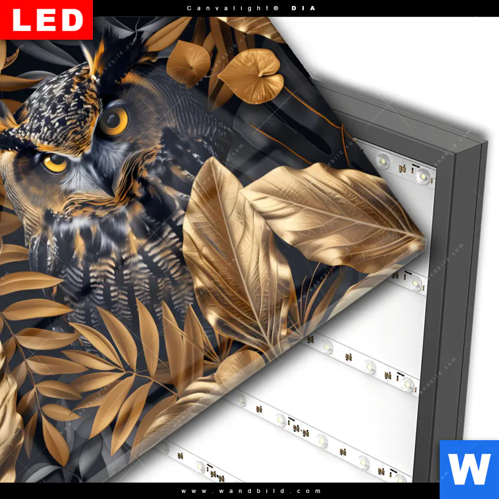 Wechselmotiv Acrylglas Canvalight® DIA | Eule und goldene Blätter | Querformat - Image 3