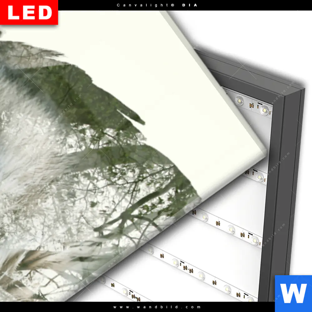 Wechselmotiv Acrylglas Canvalight® DIA | Eule & Wald No.1 | Panorama - Image 3