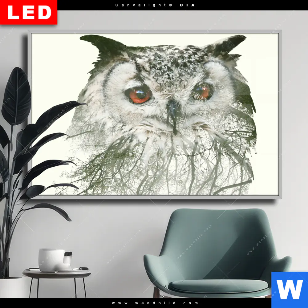 Wechselmotiv Acrylglas Canvalight® DIA | Eule & Wald No.1 | Querformat