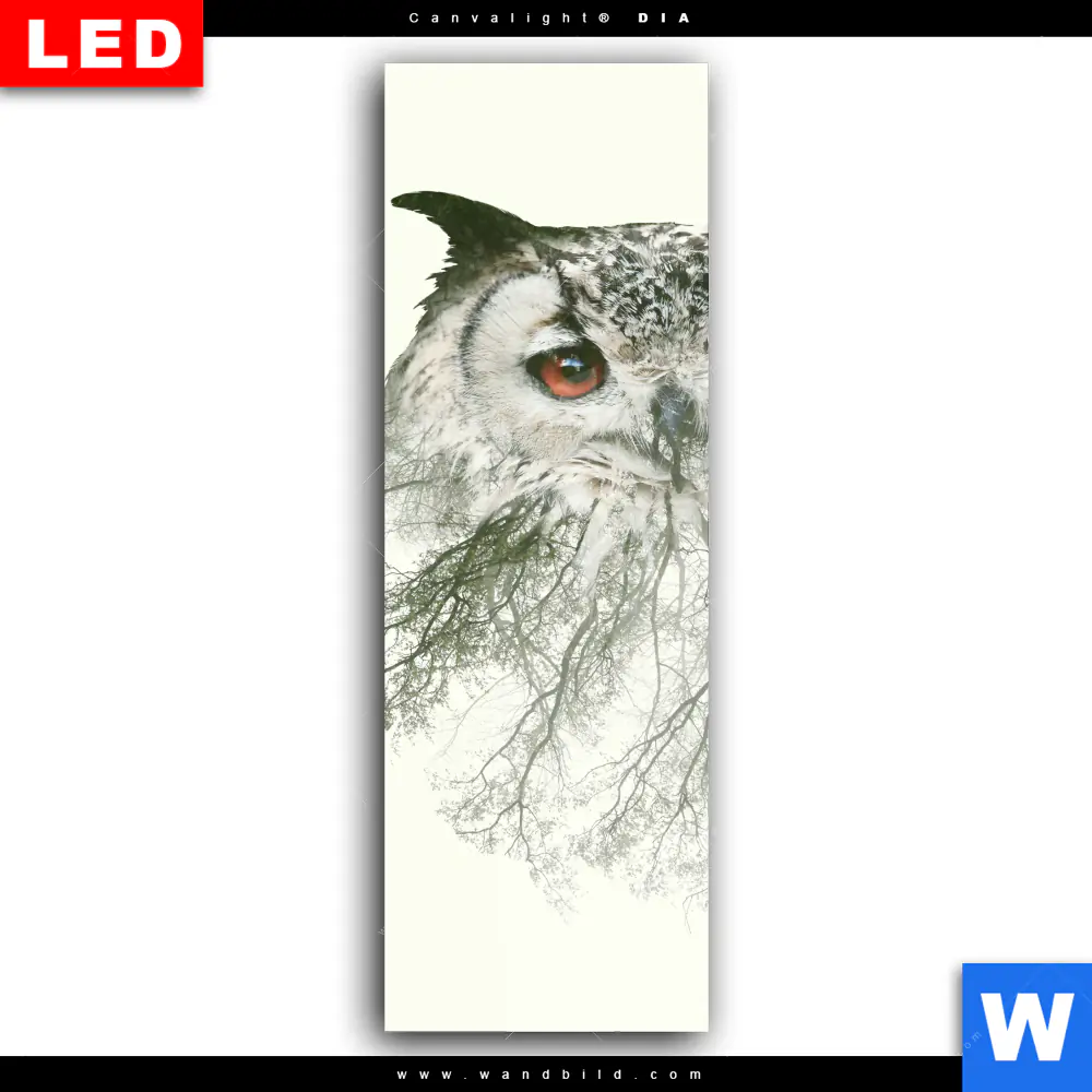 Wechselmotiv Acrylglas Canvalight® DIA | Eule & Wald No.1 | Schmal - Image 2