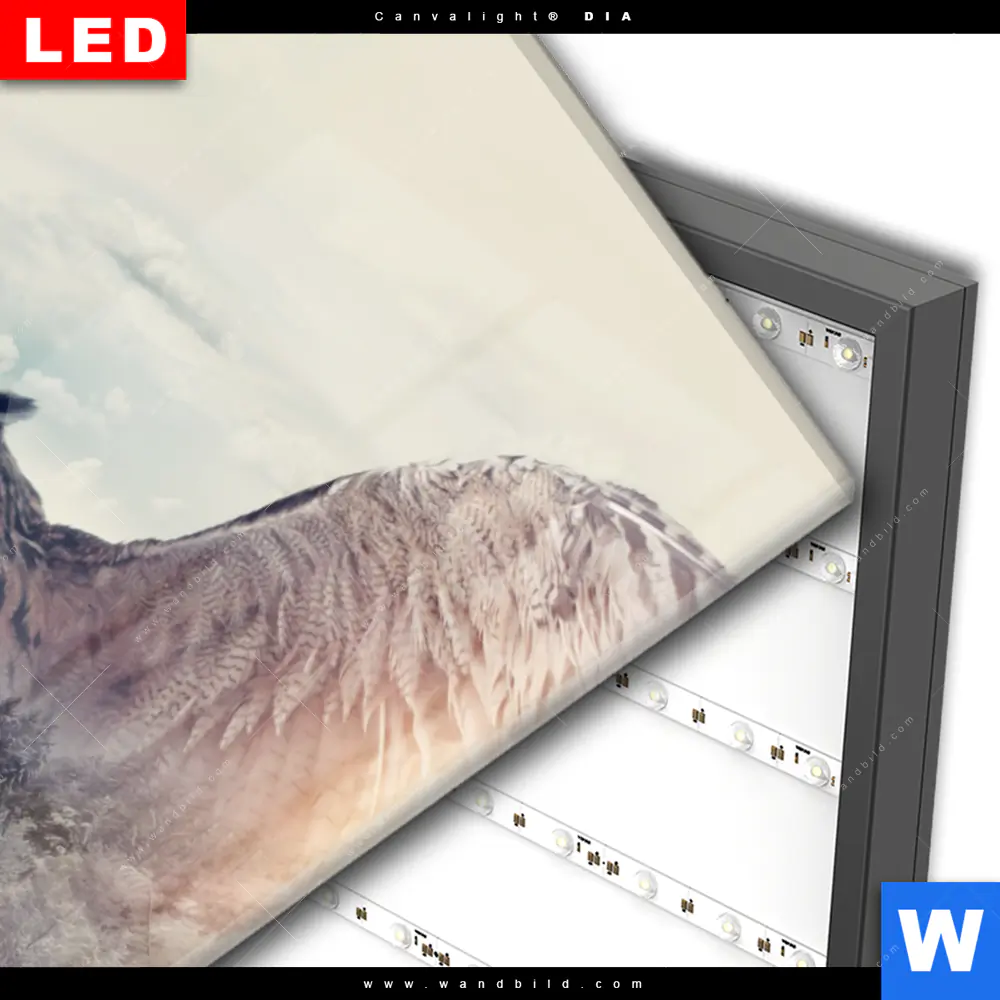 Wechselmotiv Acrylglas Canvalight® DIA | Eule & Wald No.2 | Hochformat - Image 3