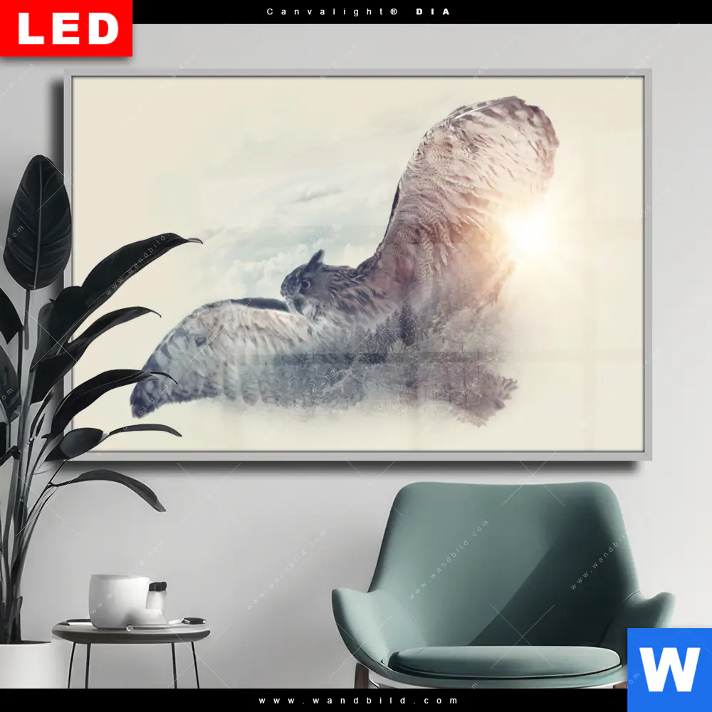 Wechselmotiv Acrylglas Canvalight® DIA | Eule & Wald No.2 | Querformat